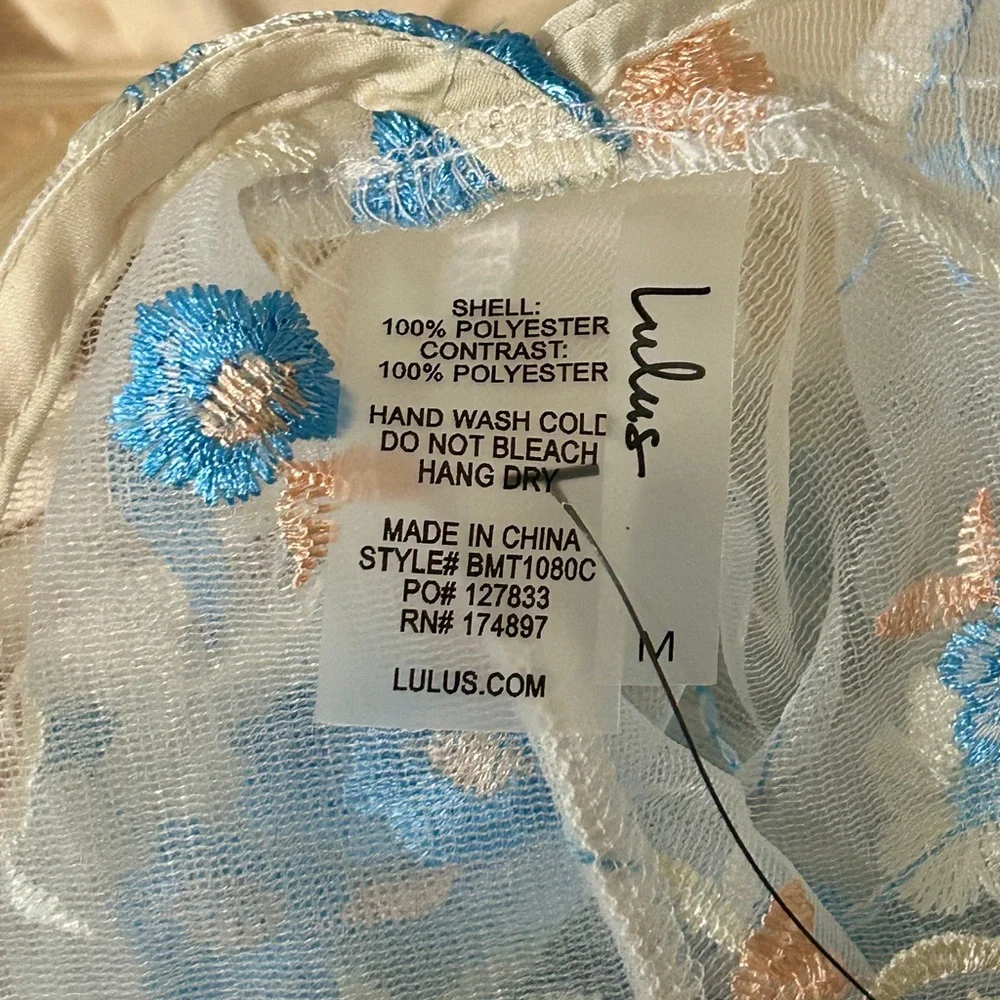 Lulu's Sheer Chemise with Blue Floral Embroidery - Picture 4 of 5